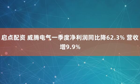 启点配资 威腾电气一季度净利润同比降62.3% 营收增9.9%