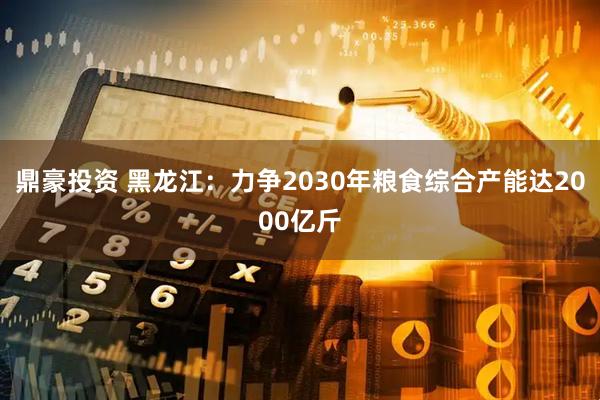 鼎豪投资 黑龙江：力争2030年粮食综合产能达2000亿斤