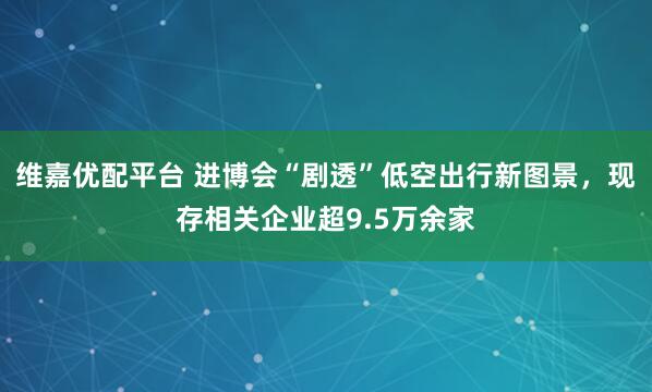 维嘉优配平台 进博会“剧透”低空出行新图景，现存相关企业超9.5万余家